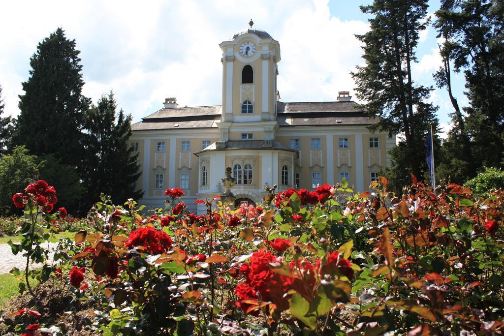Schlosshotel Rosenau Superior Schloss Rosenau Bagian luar foto